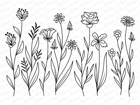 line drawings of flowers|free printable flower lines.